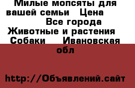 Милые мопсяты для вашей семьи › Цена ­ 20 000 - Все города Животные и растения » Собаки   . Ивановская обл.